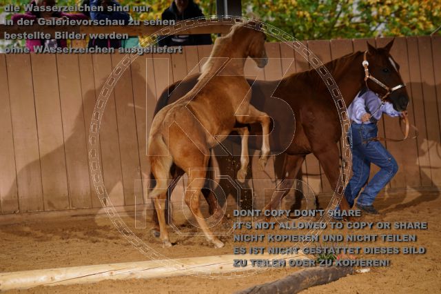 s_K3F05183.JPG